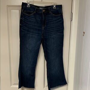 Democracy Deep Indigo Ankle Jeans Size 14 Petite